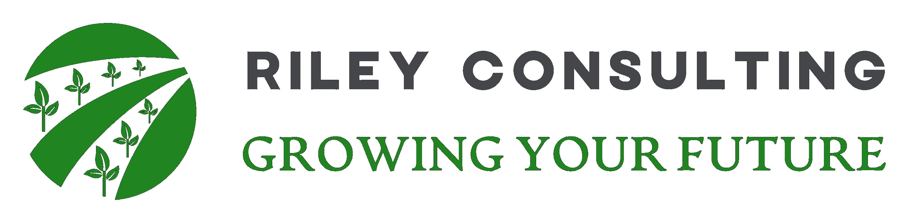 Riley Consulting — Growing Your Future